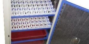 Chicken Egg Incubators