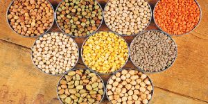 Indian Pulses