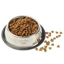 Steel Pet Feeding Embossed Bowl
