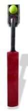 Wooden Cricket Bat