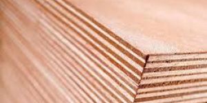 Plywood Sheets