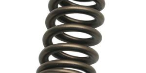Valve Spring