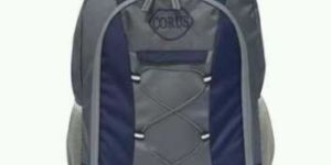 Blue & Grey Laptop Backpack