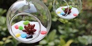 Hanging Glass Terrarium
