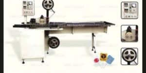 Automatic Sandwich Wrapping Machine