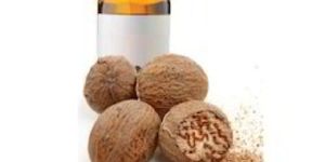 Nutmeg Essential Oil