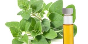 Oregano Essential Oil