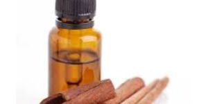 Organic Cinnamon Bark Essential Oil
