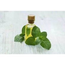 Peppermint Essential Oil