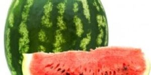 Watermelon Carrier Oil