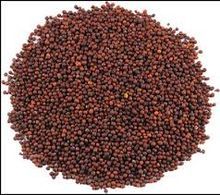 Mustard Seeds