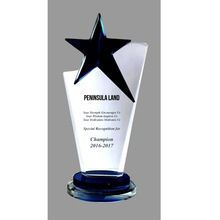 Engrave Customized Print Logo Trophy