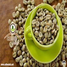 Robusta Green Coffee Bean