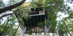 Bamboo Deck And Machaan