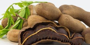 Tamarind Seed