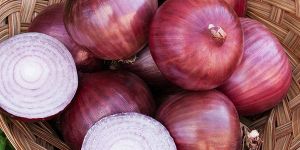 Fresh Red Onion