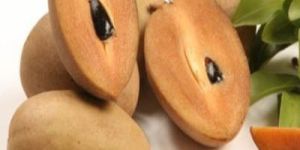 Fresh Sapodilla