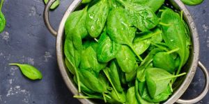Fresh Spinach