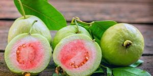 Fresh Guava
