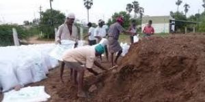 ORGANIC COW DUNG COMPOST