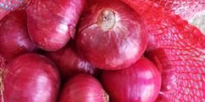 Onion