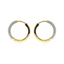 Yellow Gold Hoop Earrings