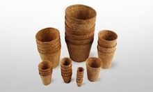 Terrace Gardening Pot