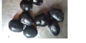 SYZYGIUM CUMINII FRUITS POWDER