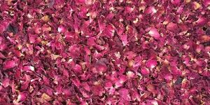 Dry Rose Petals