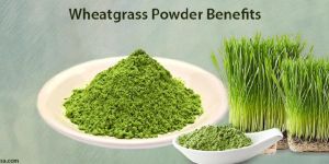 Wheatgrass Powder