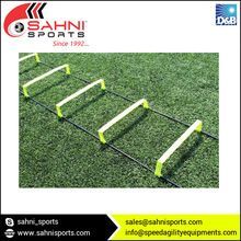 Ton Elevated Agility Ladder