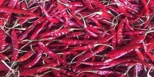 Red Chillies