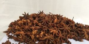 Star Anise Stemless Spices