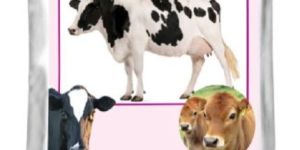 Milkmore - Fat Enhancer