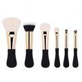 Makeup Brush Kit