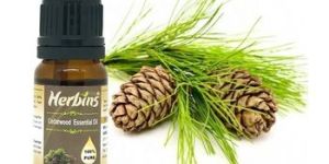Organic Cedarwood Essential Oil