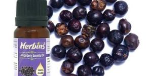 Organic Juniper Berry Oil