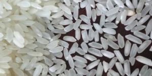 Swarna Non Basmati Rice