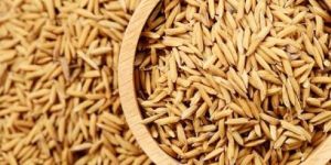 Paddy Basmati Seed