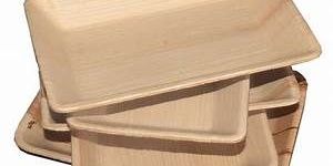 9X6 Inch Rectangle Areca Leaf Tray