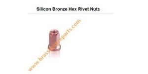 Silicon Bronze Hex Rivet Nut