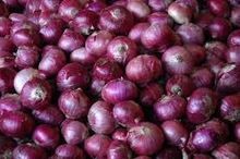 Fresh Onion
