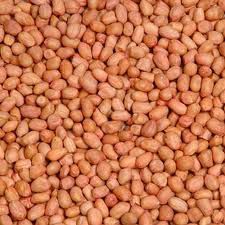 Peanut Kernel