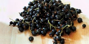 Black Currants