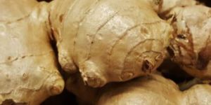 GINGER OR GINGEROL
