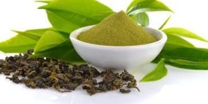Green Tea Extract