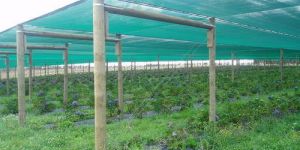 Shade Net Houses Fabrication Service