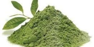 Green Tea Extract