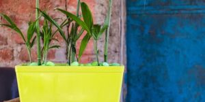 Fiber Pine FRP Planter Pot