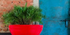 Sparrow Fiber Flower Pot